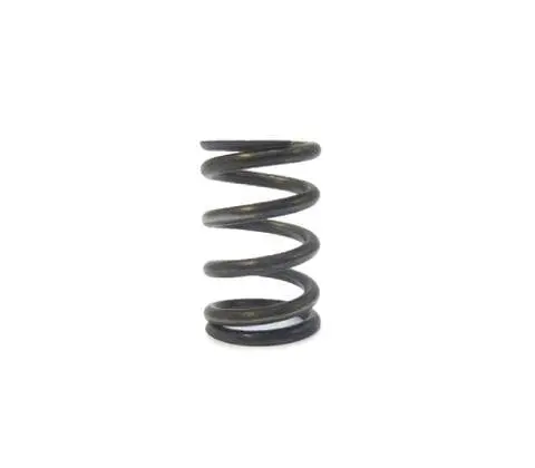Long Arbor Pressure Balance Valve Spring 1