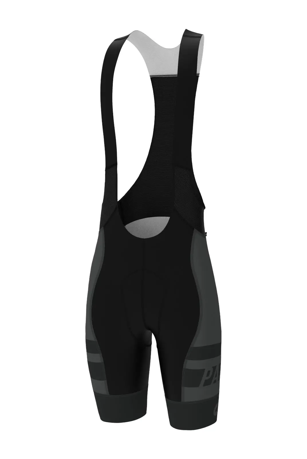 Men's Pac Ascent Vector Bibs - Standard 1