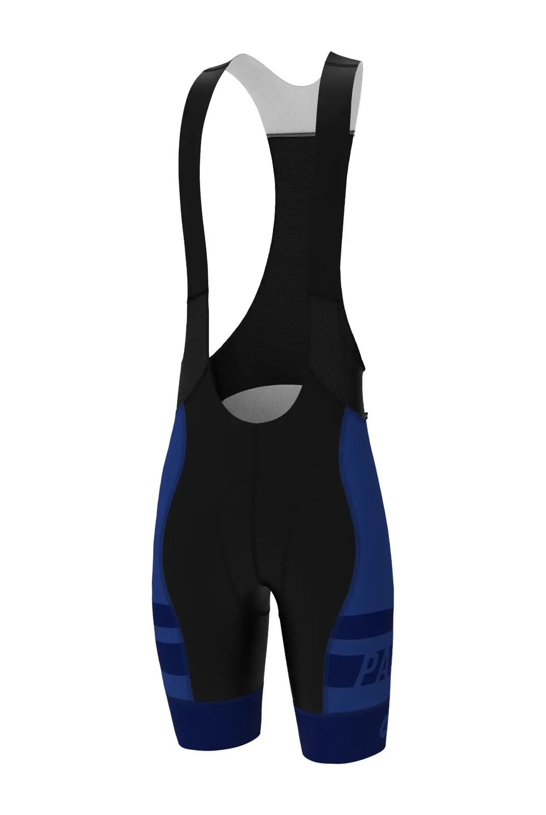 Men's Pac Ascent Vector Bibs - Standard 1