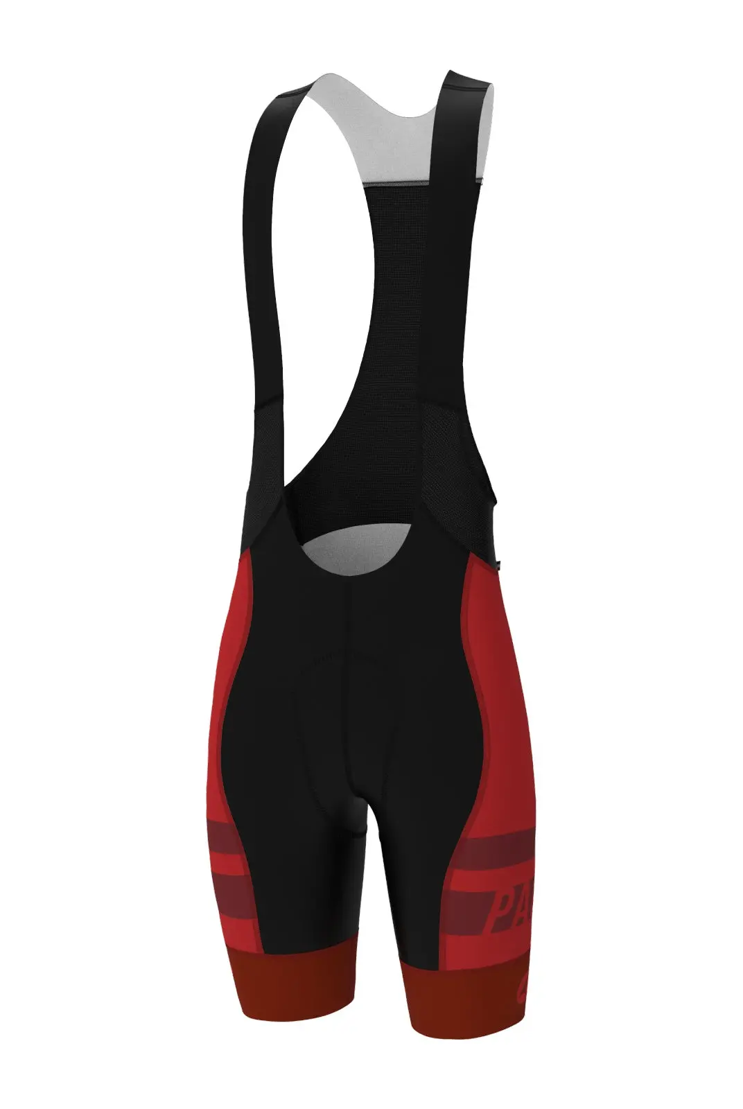 Men's Pac Ascent Vector Bibs - Standard 1