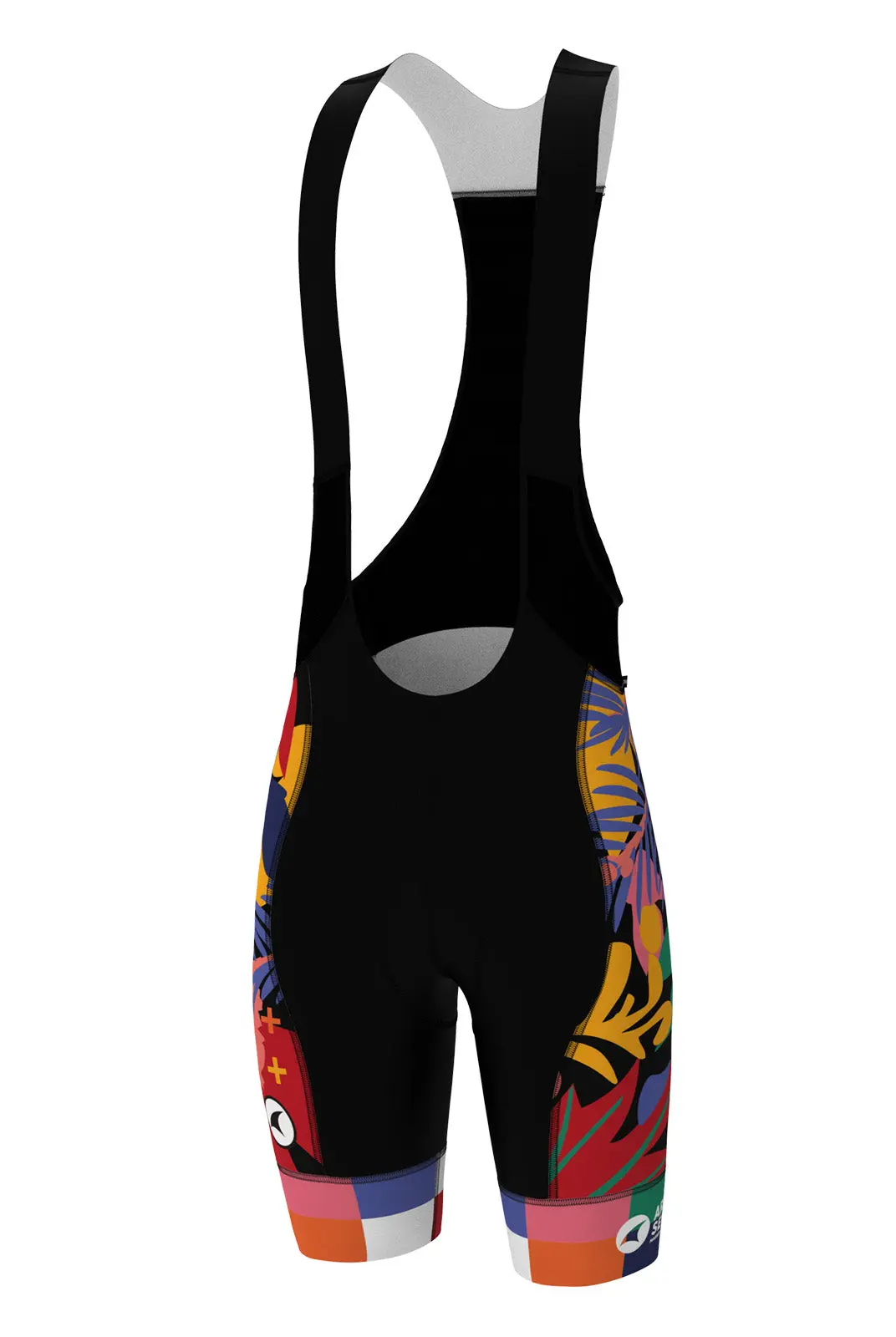 Men's Colorado Botanical Ascent Vector Bibs X Mariery Young 1