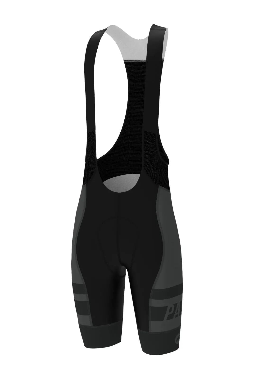 Men's Pac Ascent Vector Bibs - Long 1