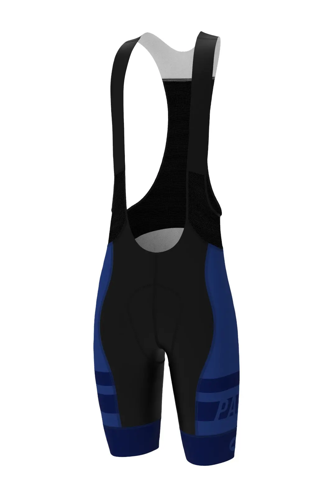 Men's Pac Ascent Vector Bibs - Long 1