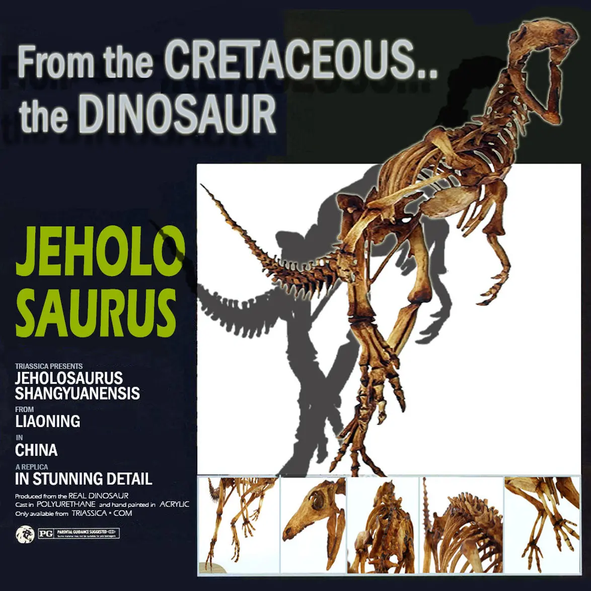 Jeholosaurus Skeleton Replica Fossil 1