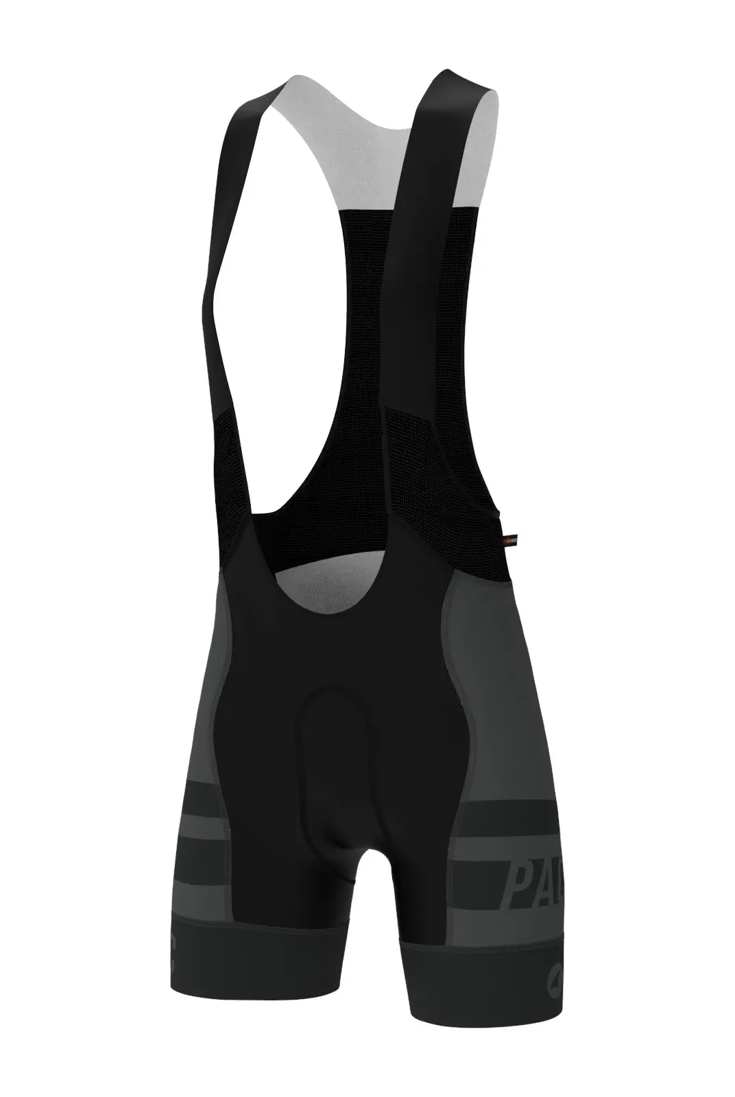 Women's Pac Ascent Vector Bib Short - Standard 1
