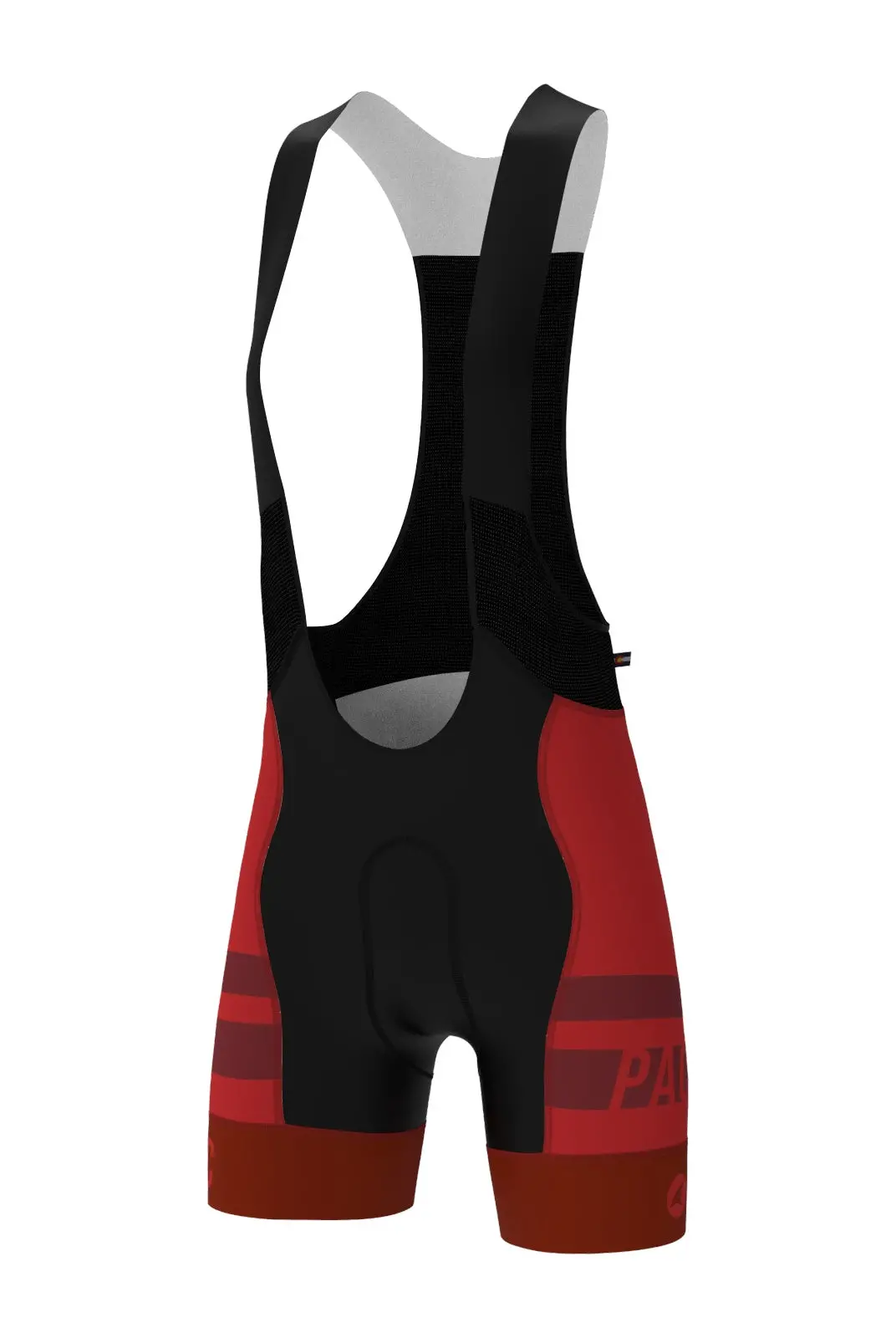 Women's Pac Ascent Vector Bib Short - Standard 1