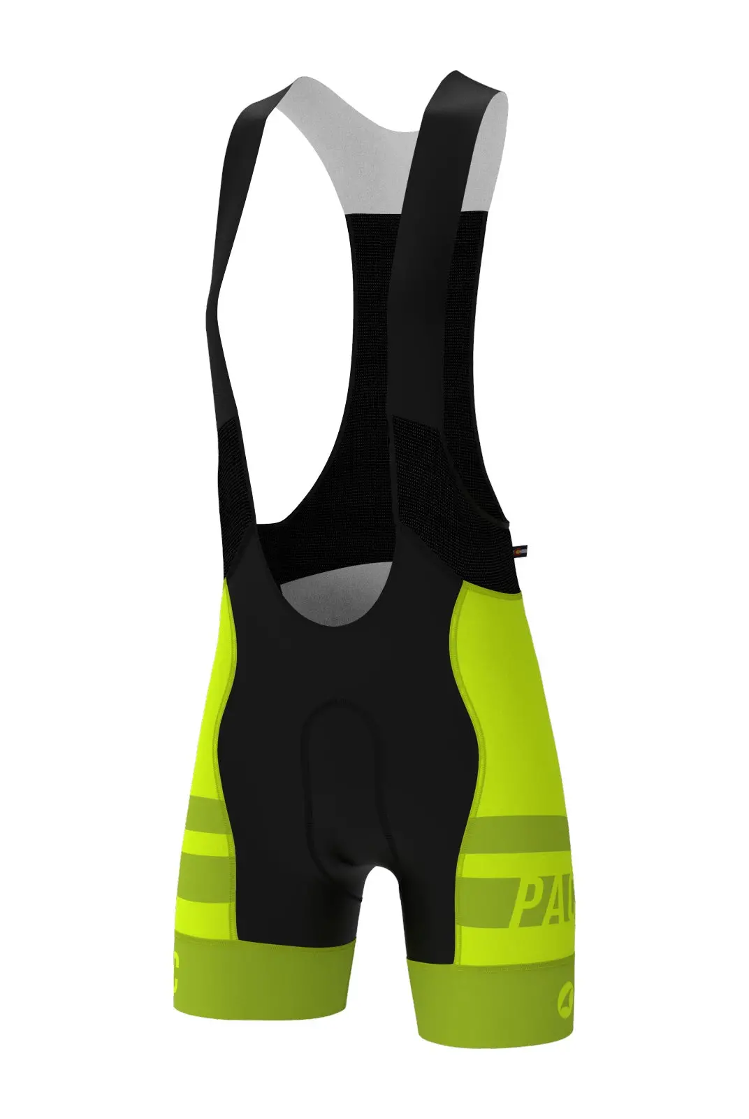 Women's Pac Ascent Vector Bib Short - Standard 1