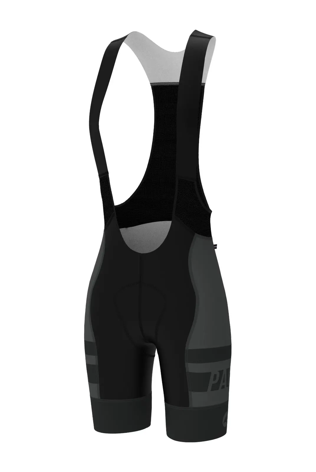 Women's Pac Ascent Vector Bibs - Long 1