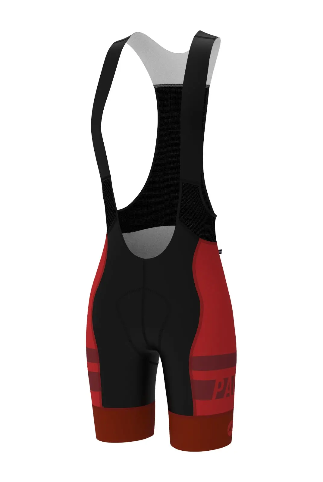 Men's Pac Ascent Vector Bibs - Long 1