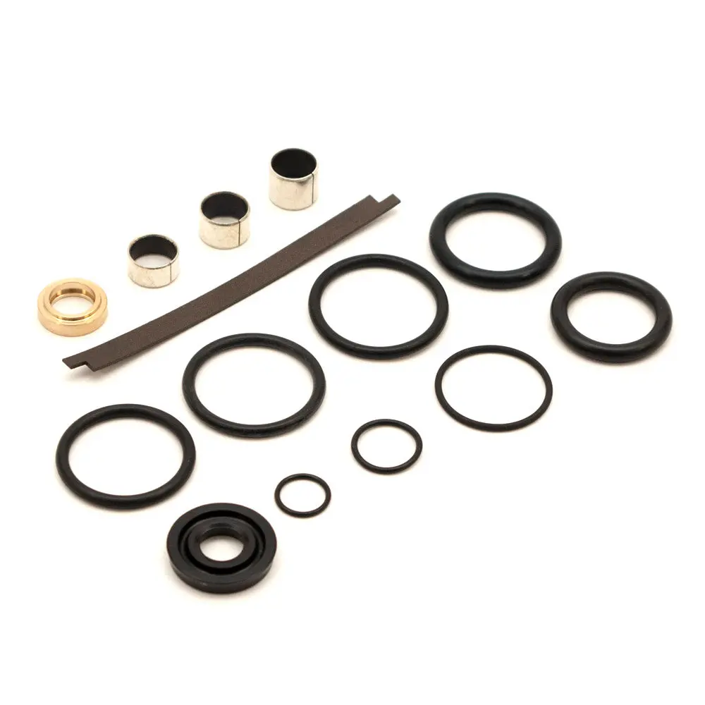 Rebuild Kit For Kyb/Hpg, 12536R40, Threaded Housing 1