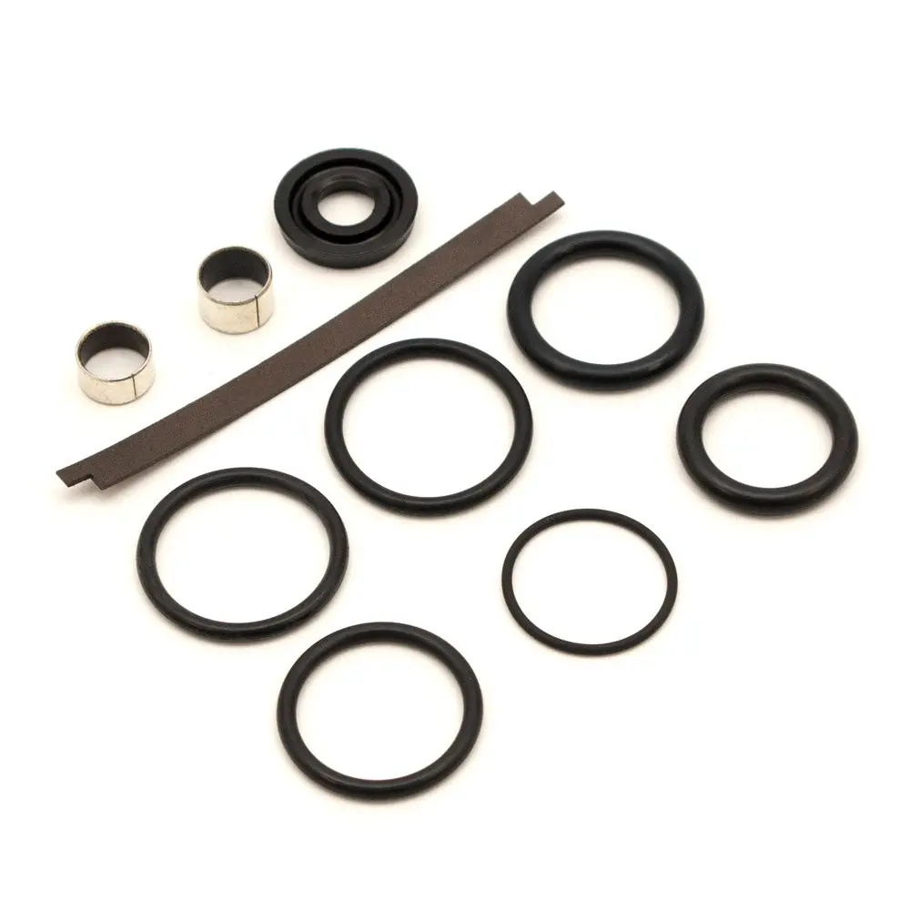 Rebuild Kit For Kyb/Hpg, 12536R40, Press-In Housing 1