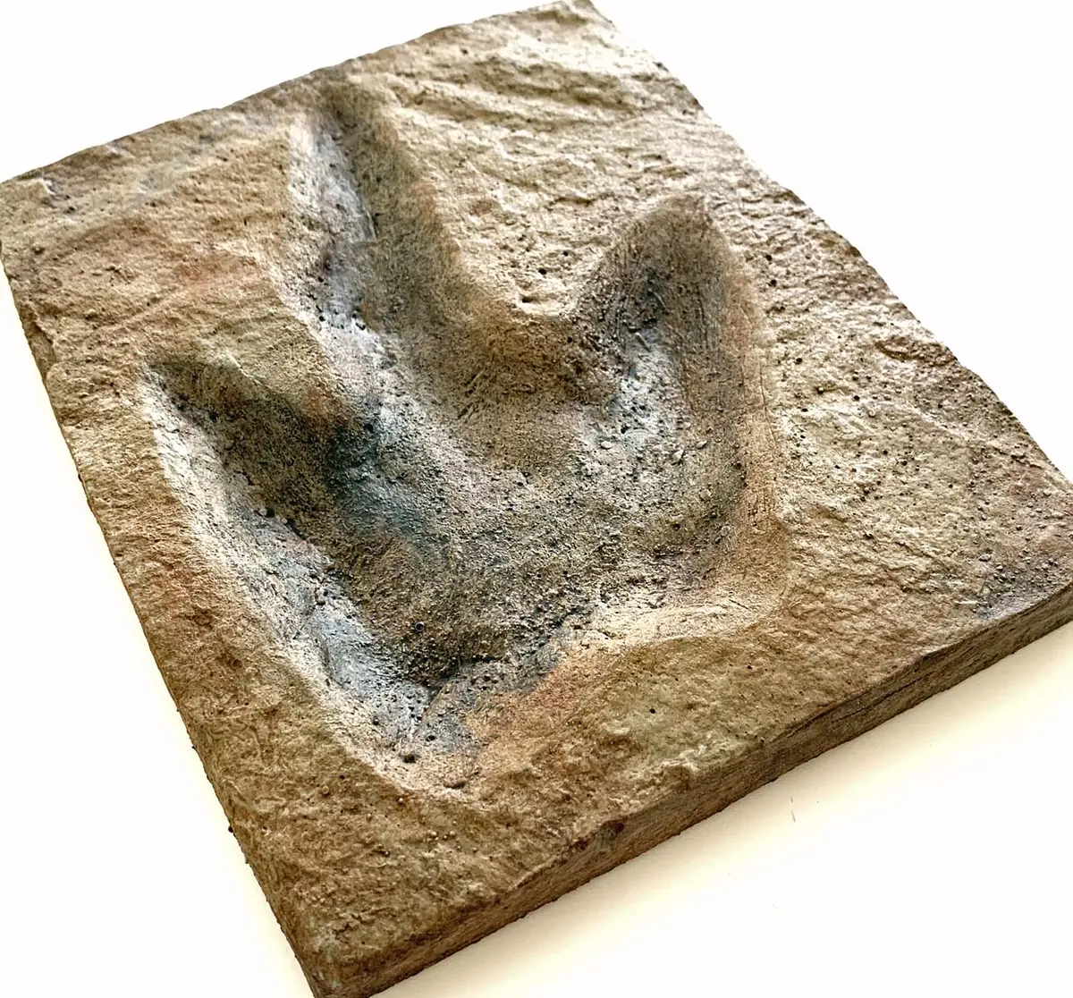 Raptor Footprint Replica - Coming Soon 1