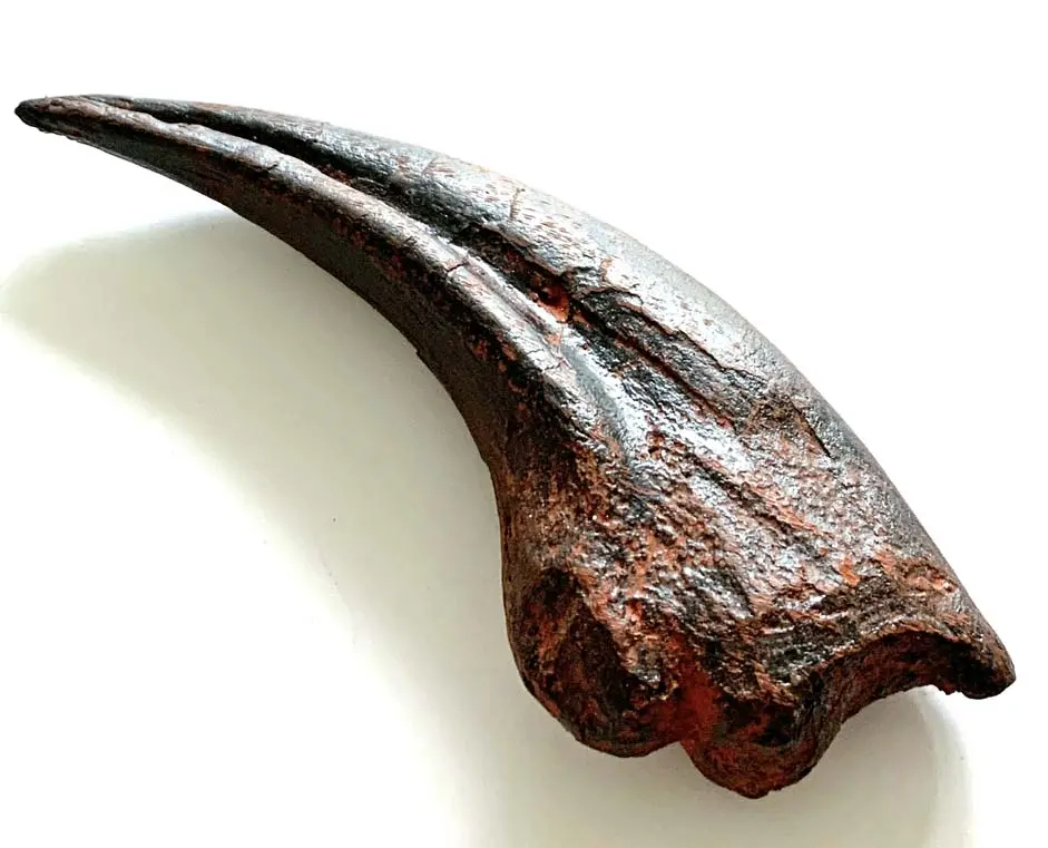 T Rex Hand Claw - Coming Soon 1