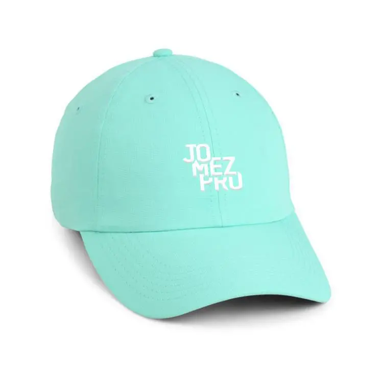 Performance Dad Hat 1
