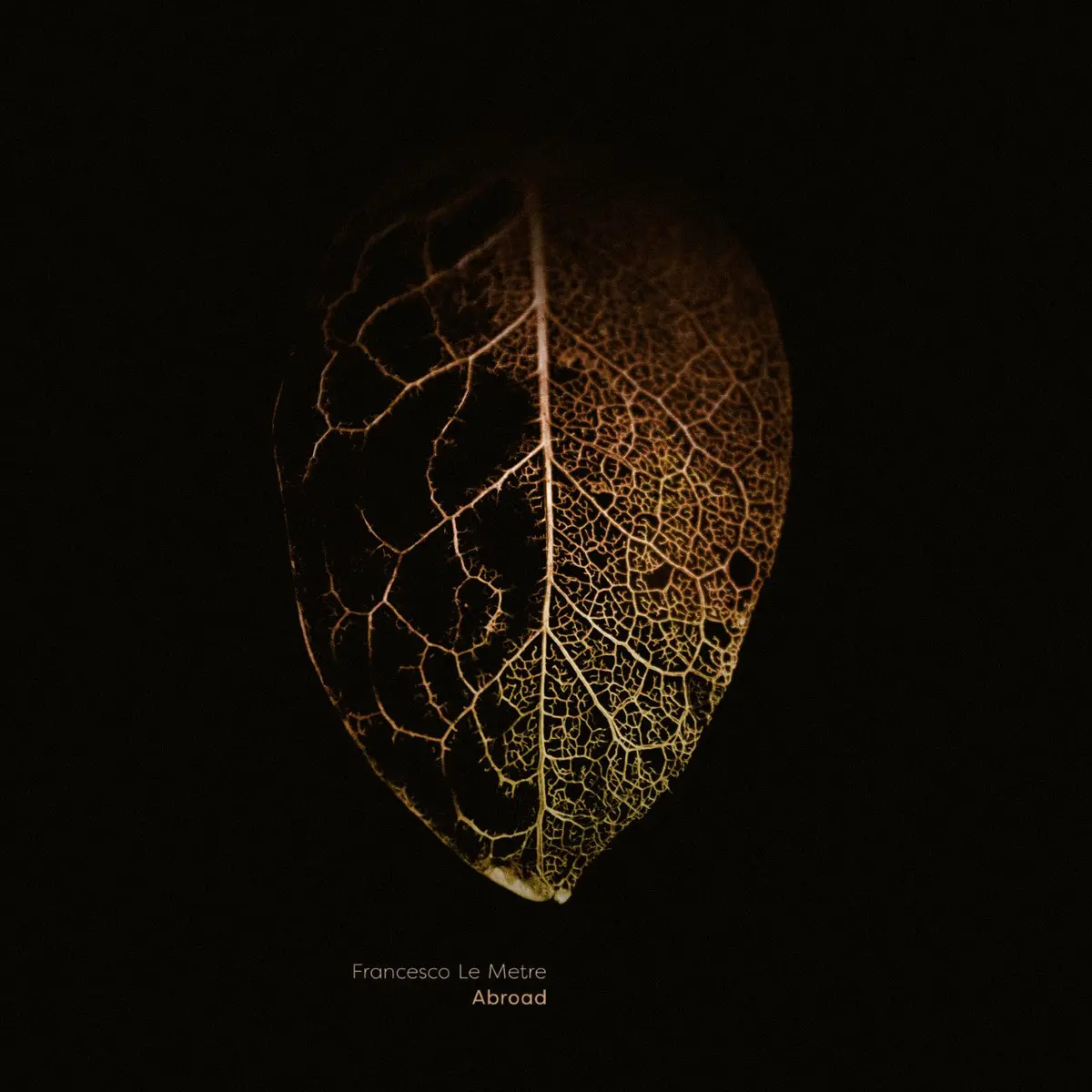 Abroad Lp By Francesco Le Metre 1