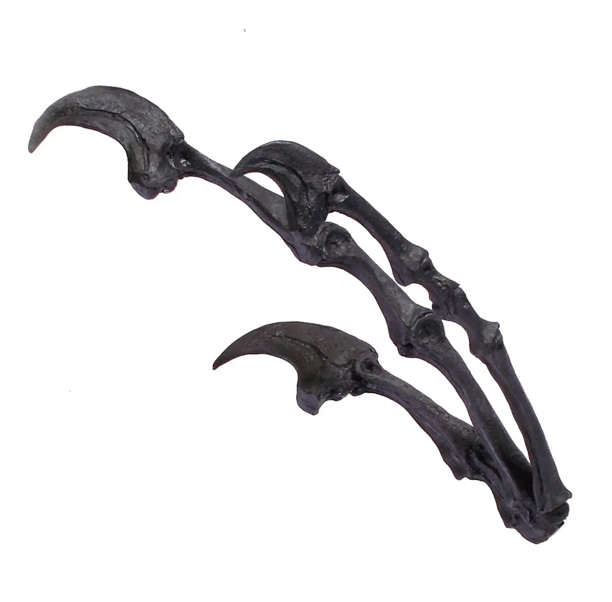 Deinonychus Hand - Coming Soon 1