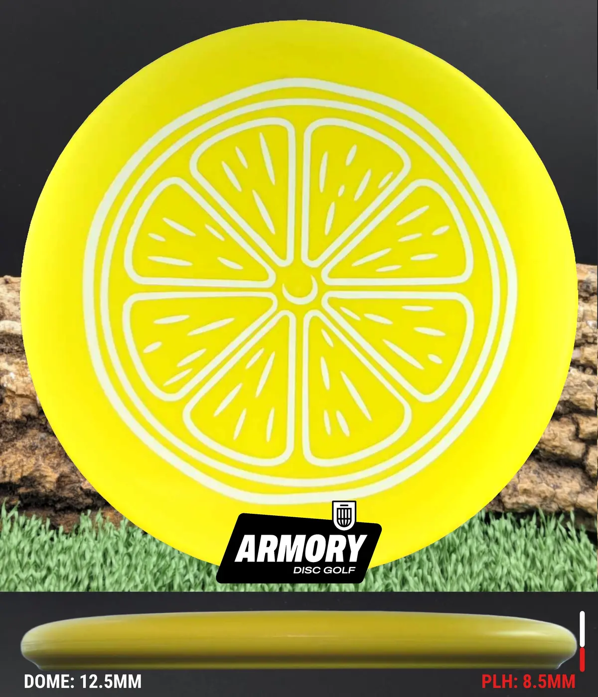 Dynamic Discs Judge 2