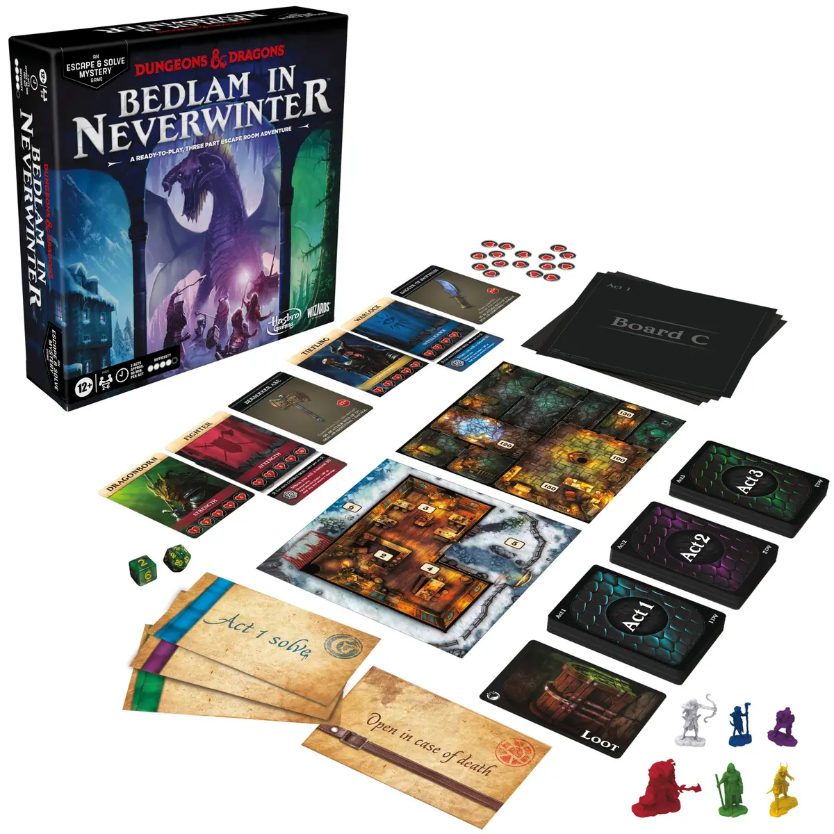 Dungeons & Dragons: Bedlam In Neverwinter 1