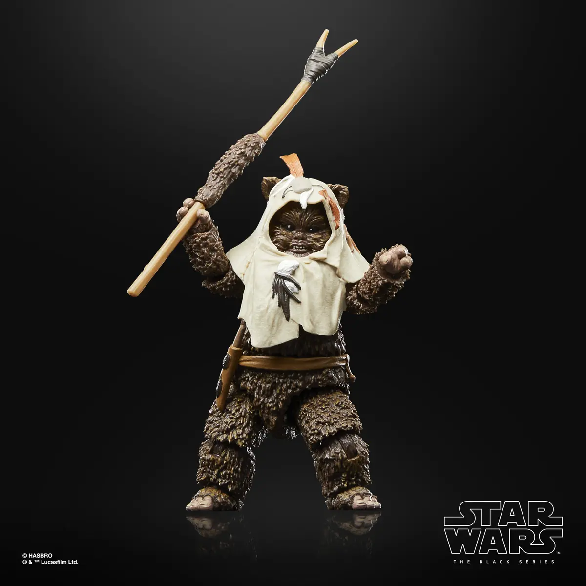 Star Wars The Black Series Paploo 1