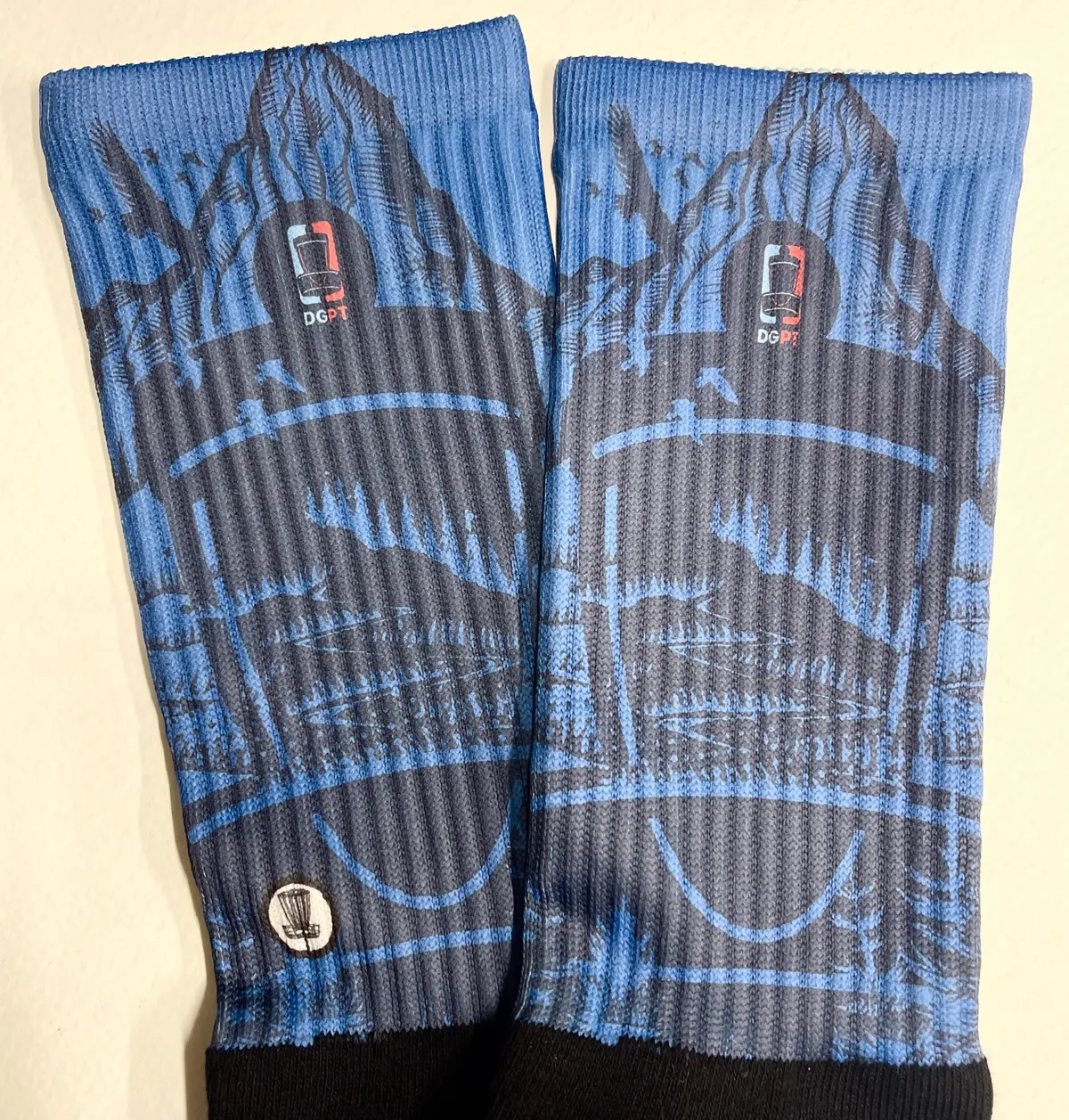 Dgpt Nationally Parked Socks - Blue 1