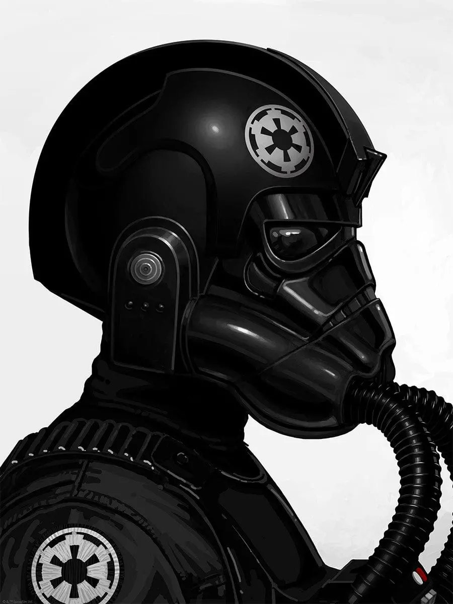 Tie Fighter Pilot 1