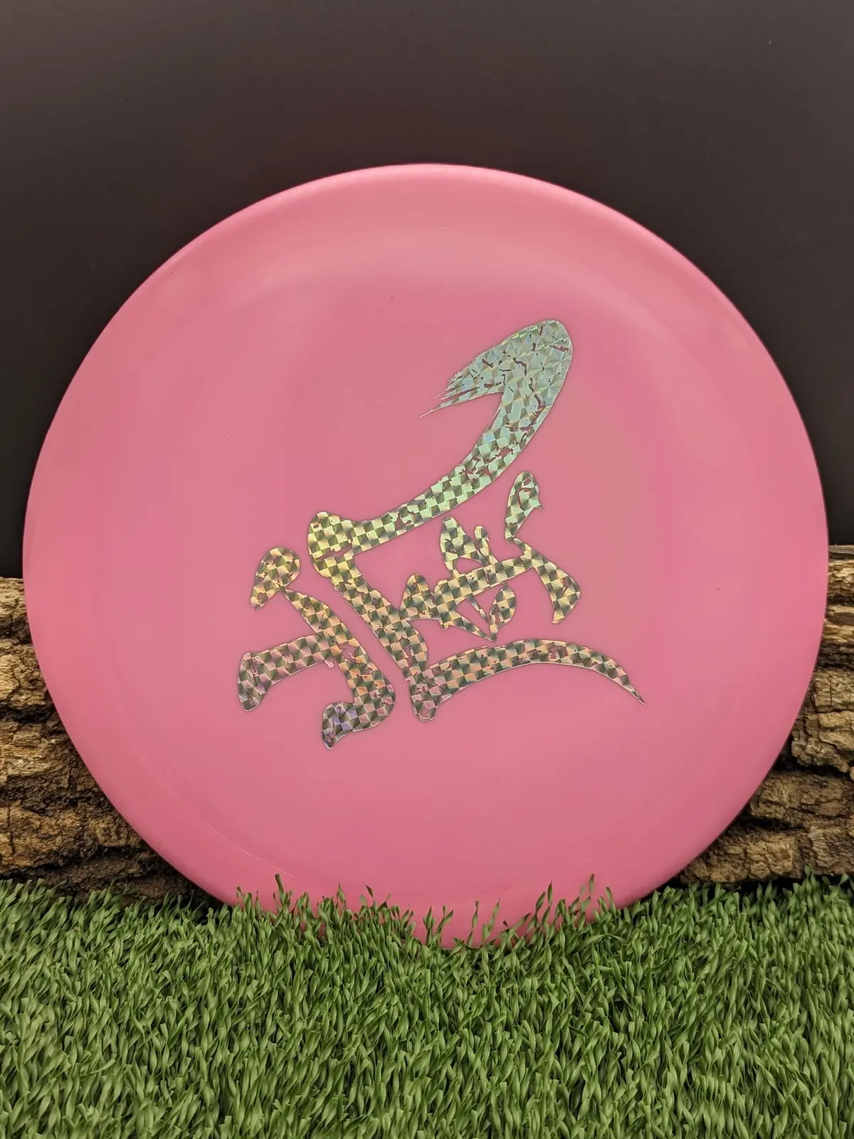 Dynamic Disc Criminal 2