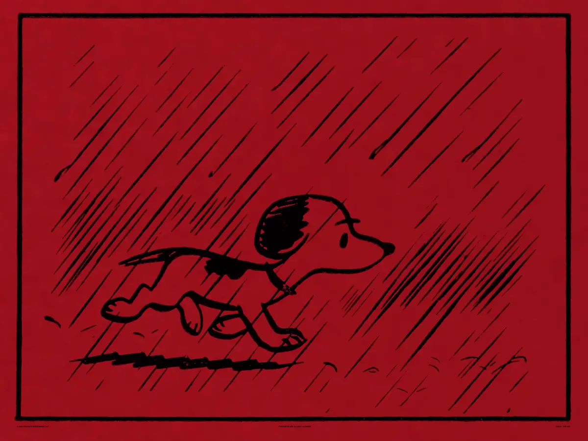 Peanuts Snoopy In Rain Poster 1