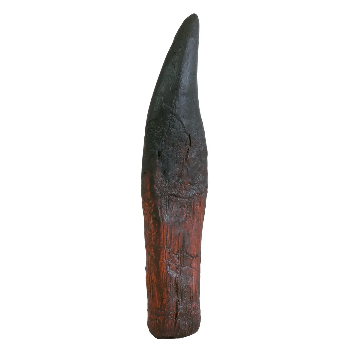 Large T.Rex Tooth Replica Fossil 1