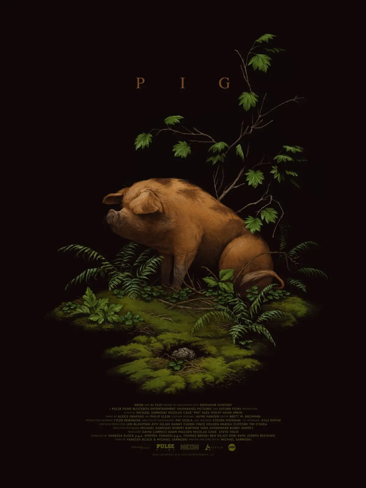 Pig By Teagan White 1