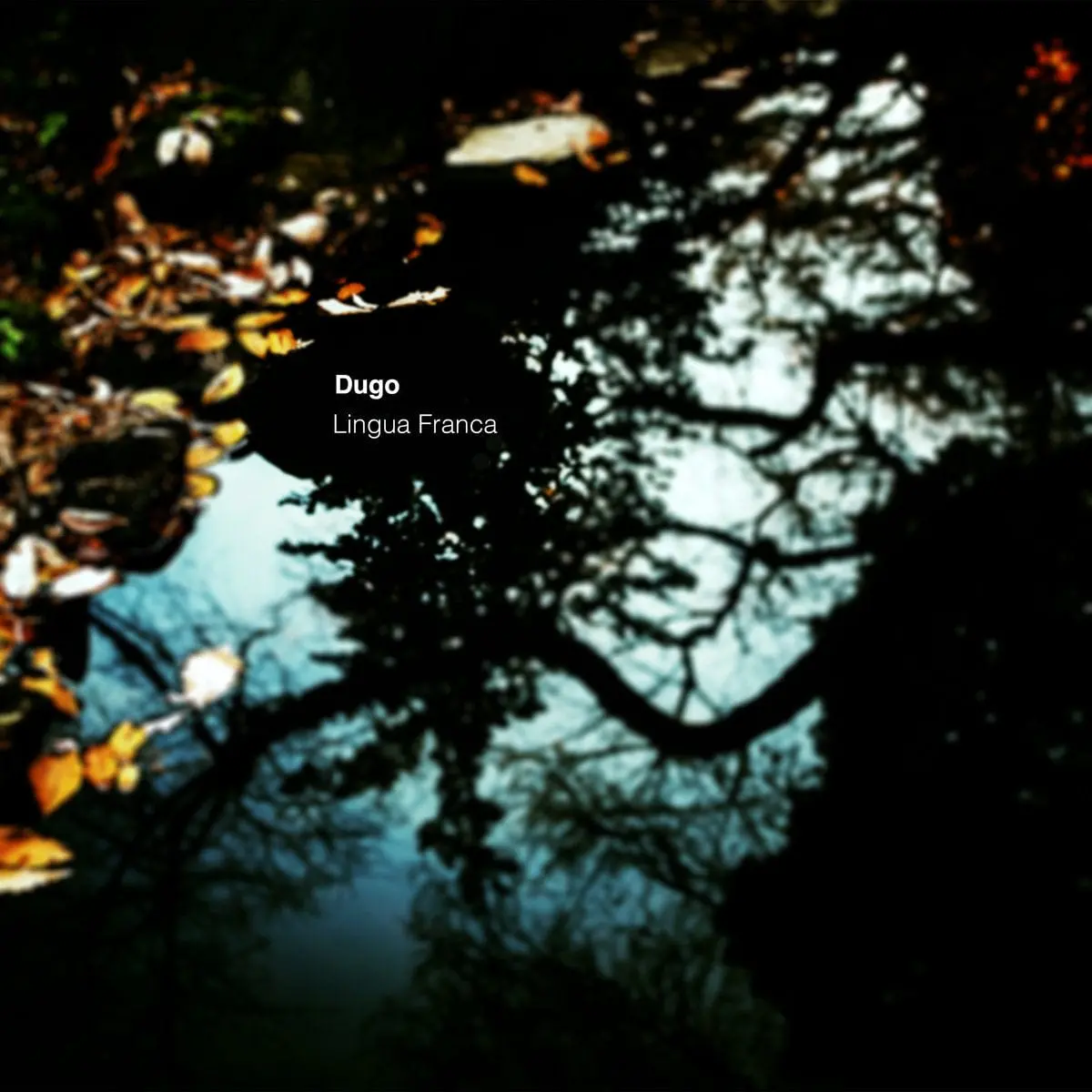 Lingua Franca By Dugo 2Xlp 1