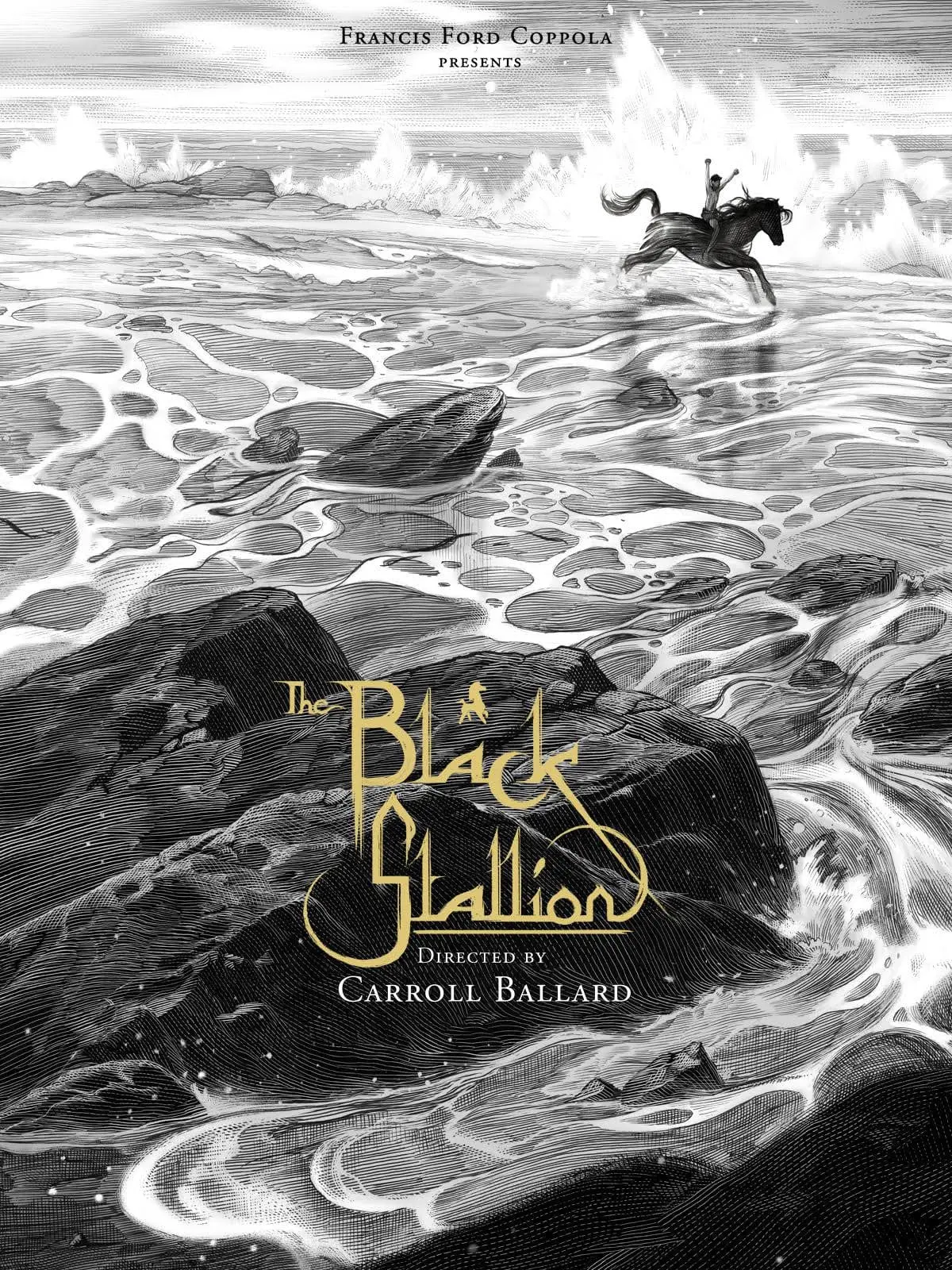 The Black Stallion 1