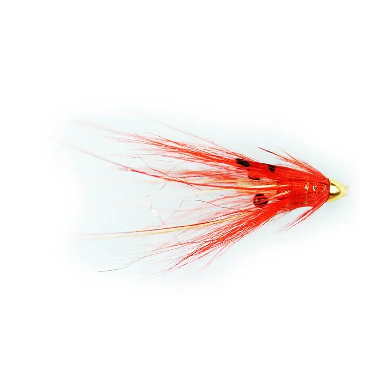 Caledonia Islamouth Shrimp Fly 1
