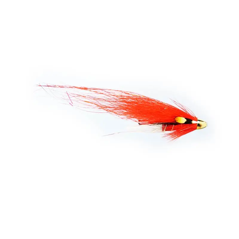Caledonia Ally Dog Fly 1