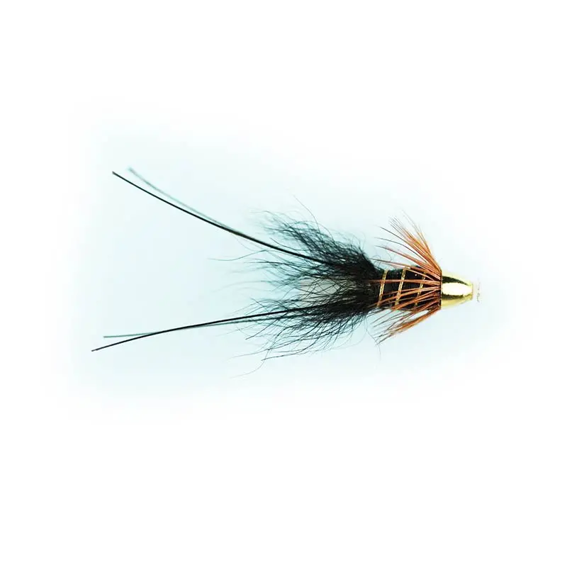 Caledonia Black Francis Fly 1