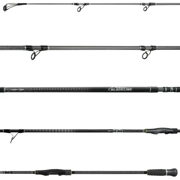 Daiwa Blackline Surf Spinning Rod 1