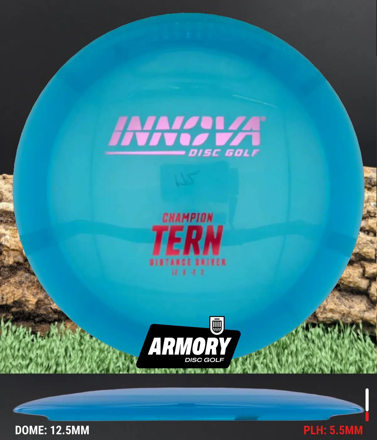 Innova Champion Tern 1