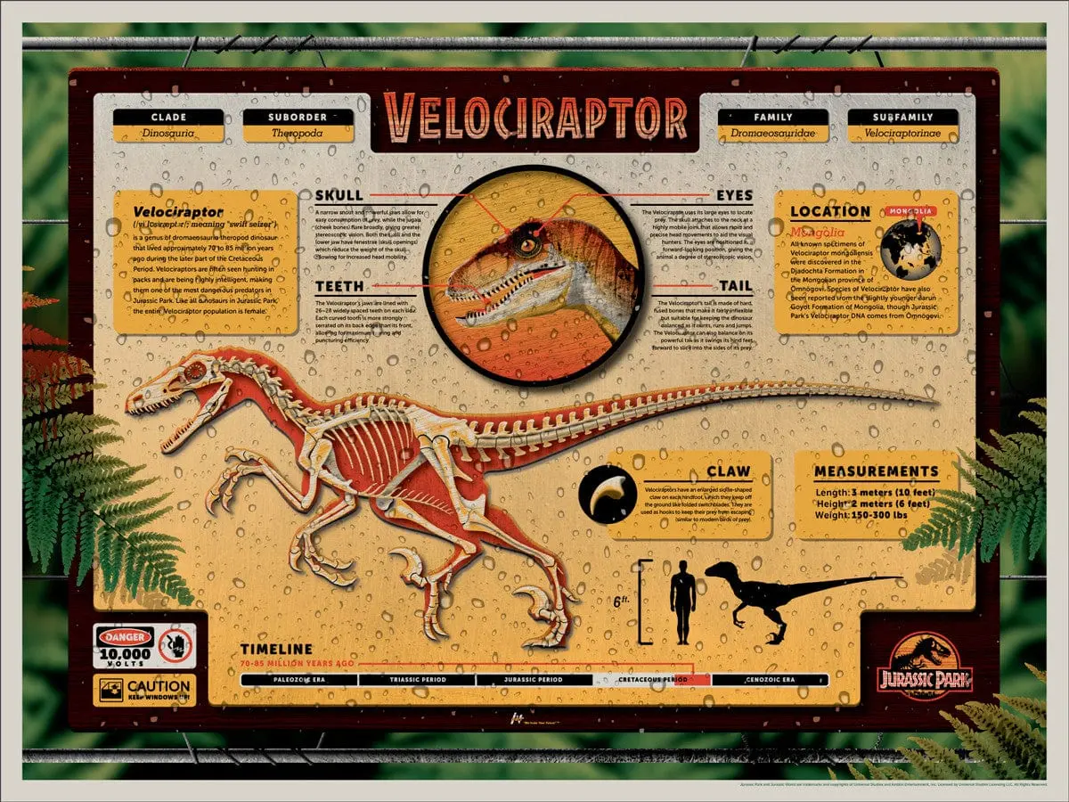 Jurassic Park (Dkng) 1