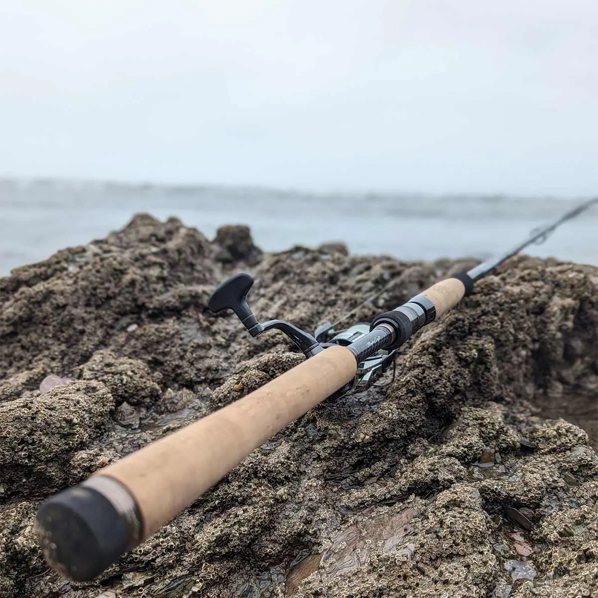 Major Craft Seabass Custom Marc Cowling Edition Lure Rod 1