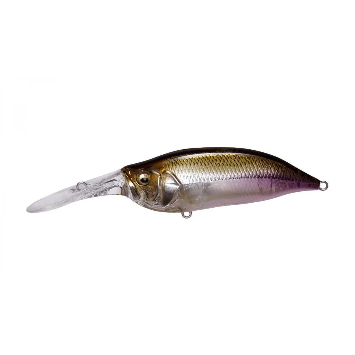 Megabass Ixi Shad Type 3 Crankbaits 1