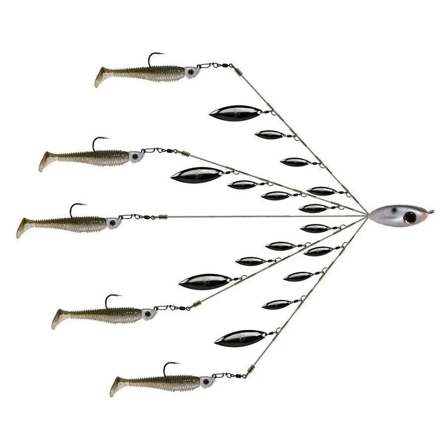 Picasso School E Rig Sweet 16 1