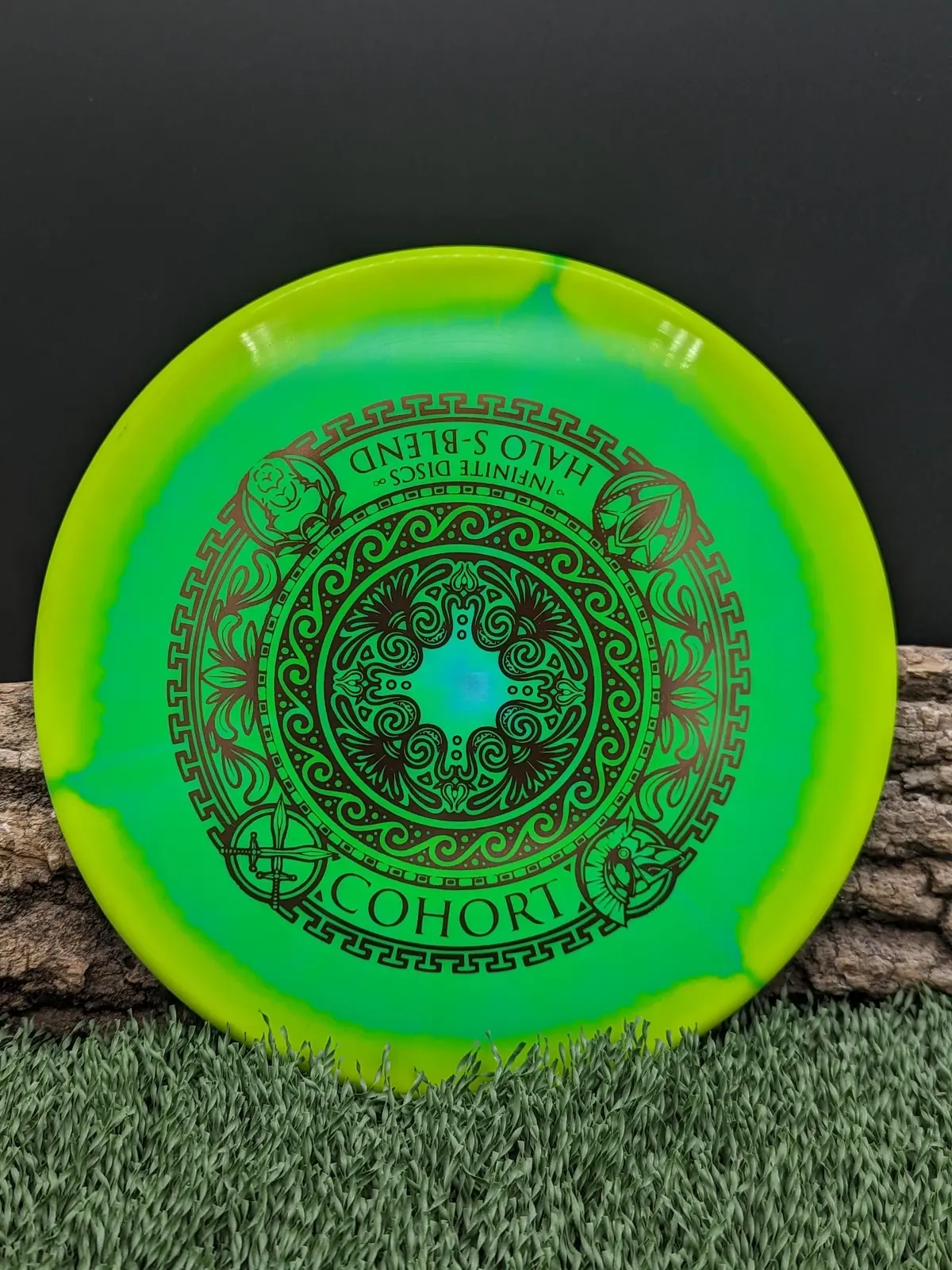 Infinite Discs Cohort 1