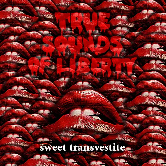 Sweet Transvestite 7-Inch By T.S.O.L. 1