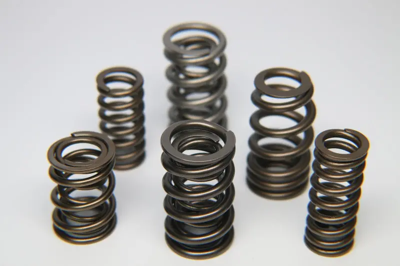 Ferrea Single Valve Spring Kit – Optimized For Ford Zetec Zx2 Engines 1